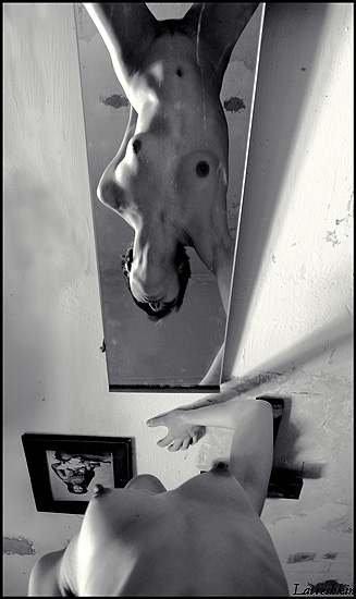      2.