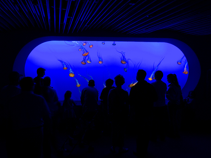  Encounters in Indigo 2