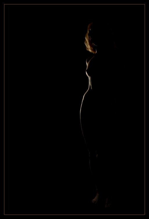  Fine Lines (1)