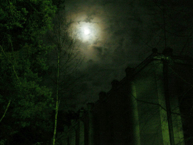  Mistery Moonlight