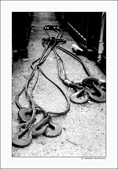  life | lines