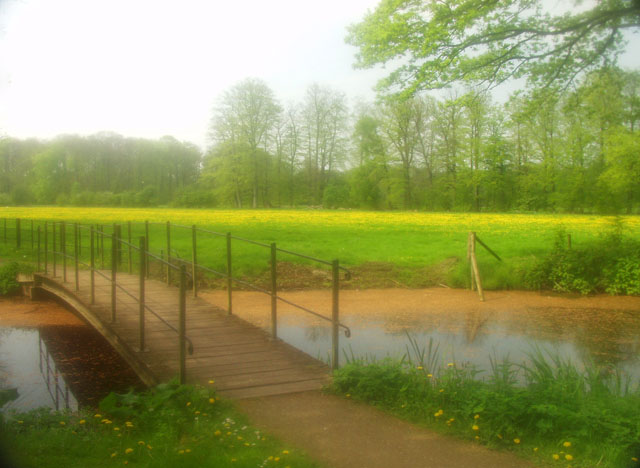  Wonderland