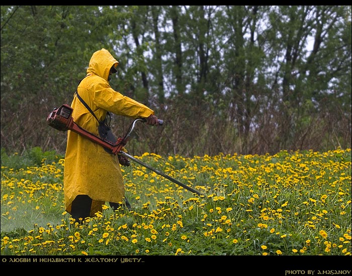       ֣ 
