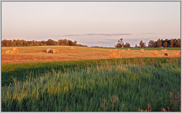  County of Peterborough (1) 2004