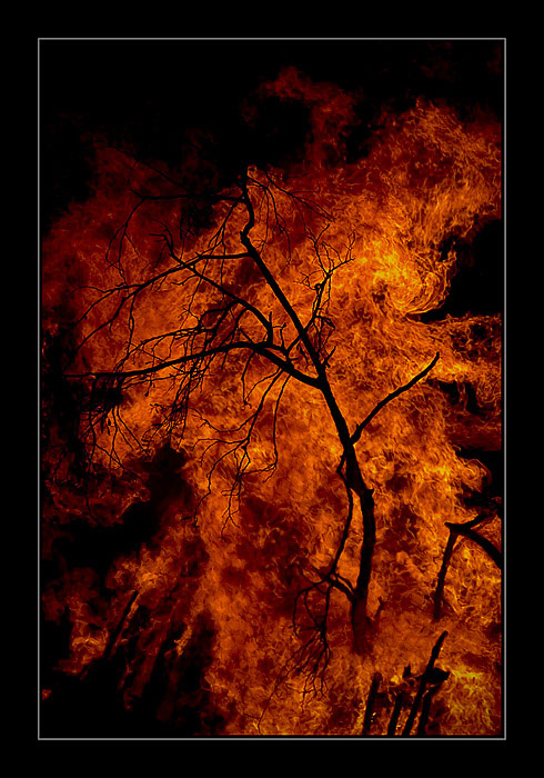  Fire......