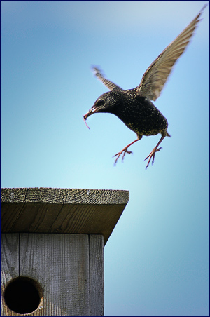  Landing