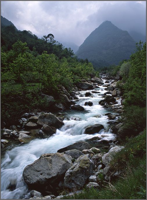    La Roya