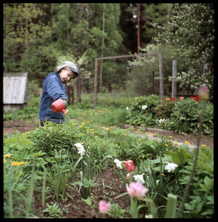  A little gardener