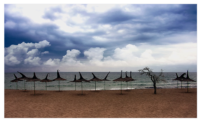  BlackSea