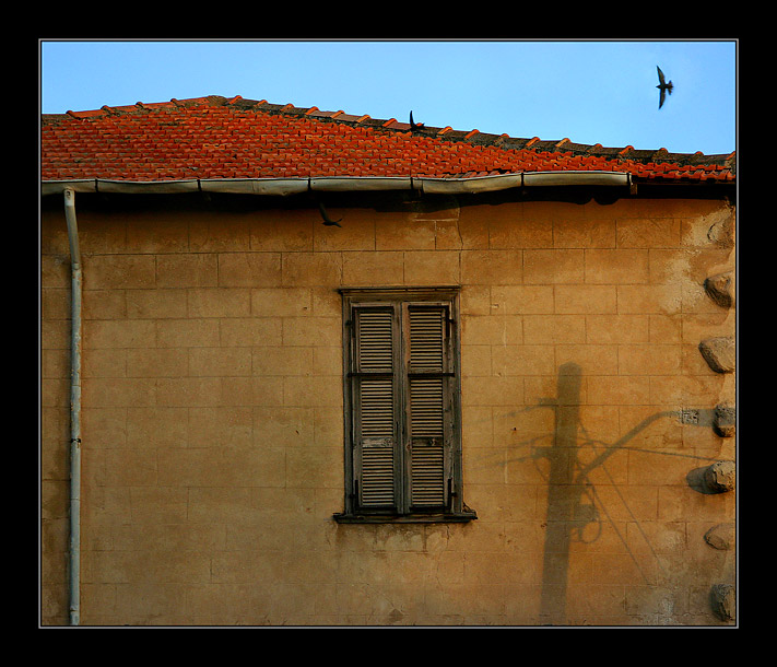  BIRD....