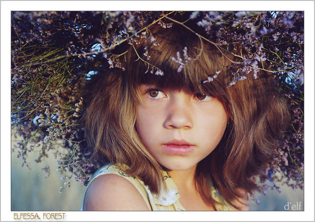  Elfessa. Forest