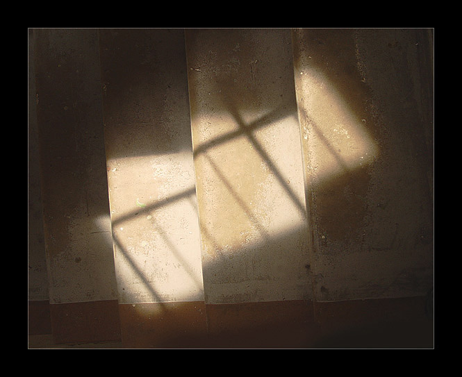  spotlight