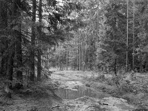  nowhere #5