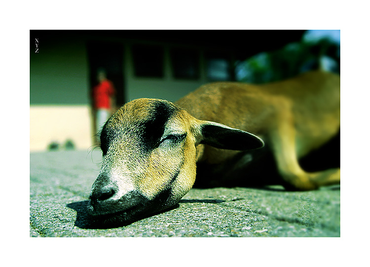  PHOTOGRAPHIE