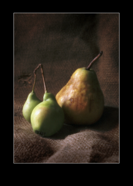  Still life