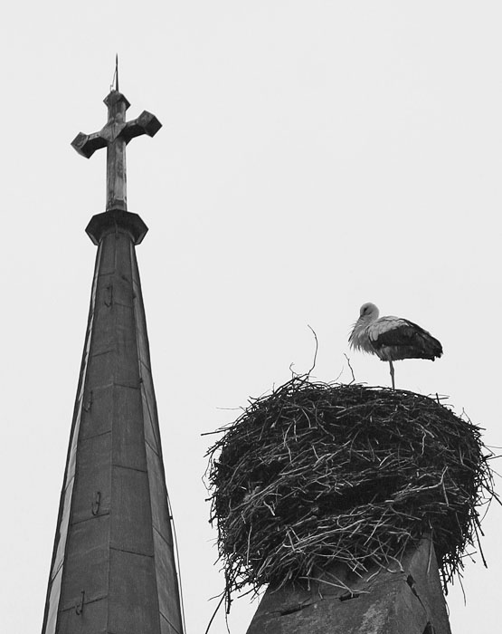  Pticka ..