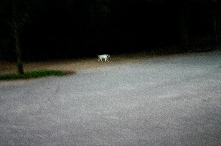  sobaschka