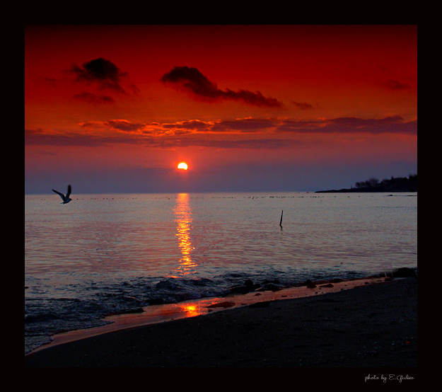  Tropic sunset