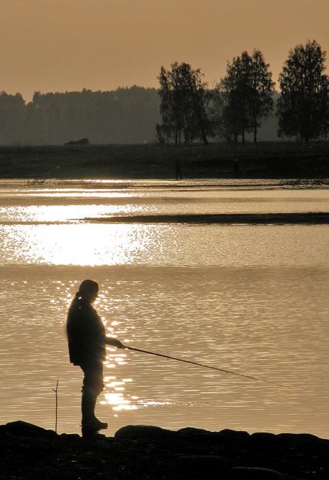  1  2005.