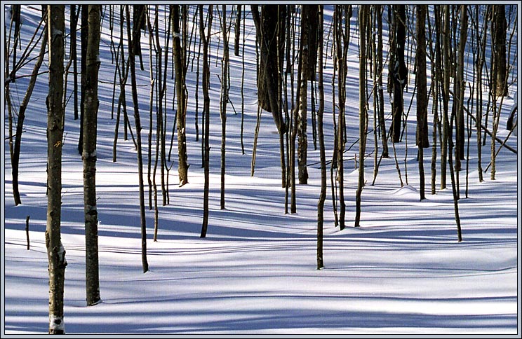  HorseShoe Valley (9) 2004
