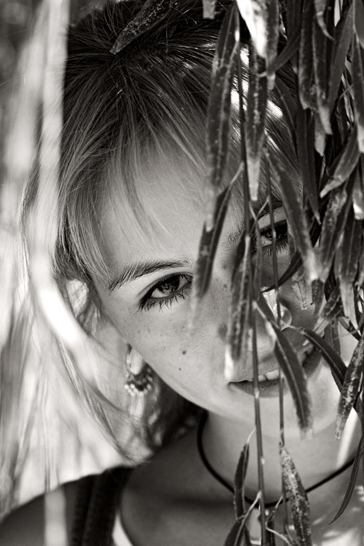  Ivy