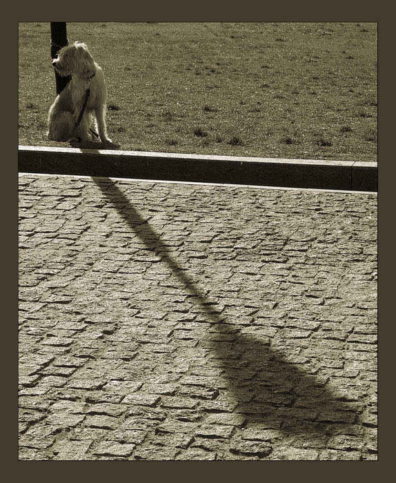  * * *