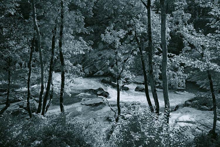  River in the night