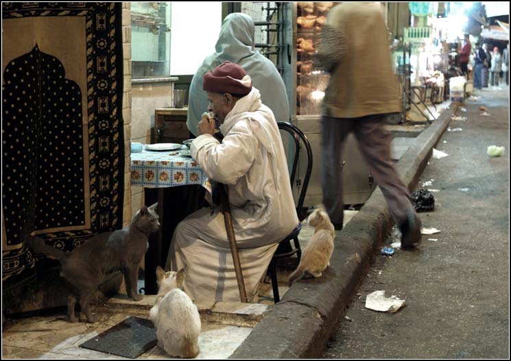 Cairo #1