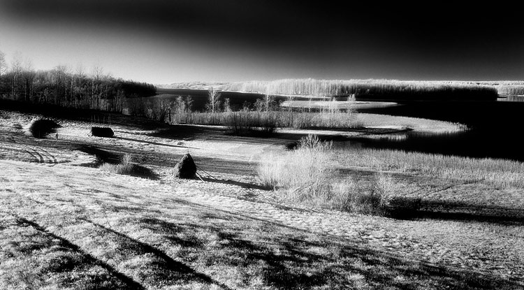  IR     .