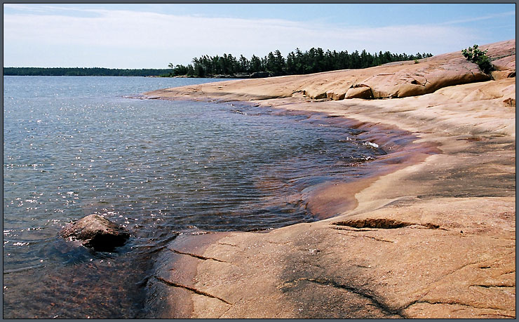  KillBear PP