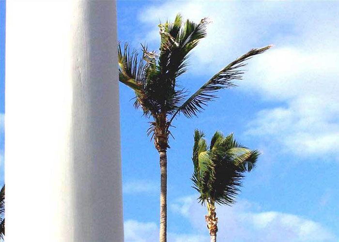   . Fresh wind.
