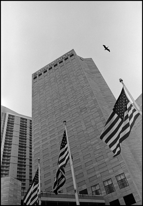  Pelican Intercontinental