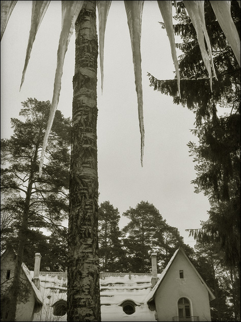  Icicles