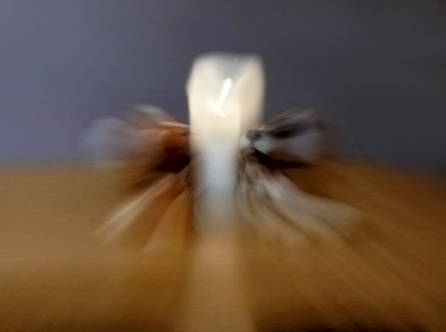  ̣     