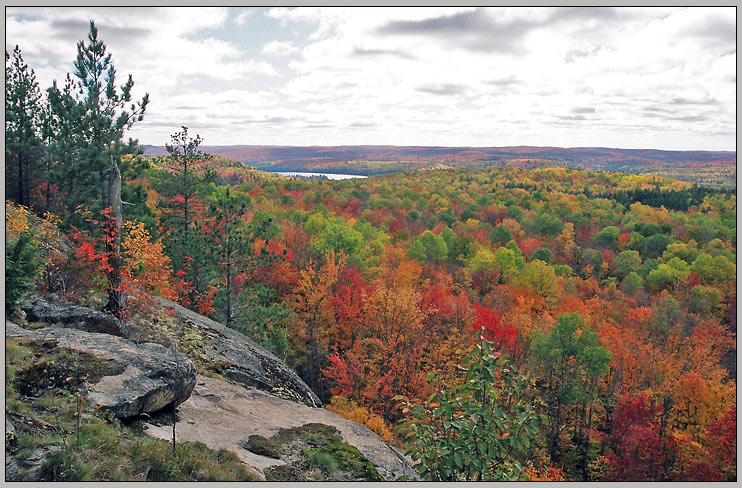  Algonquin PP (11)