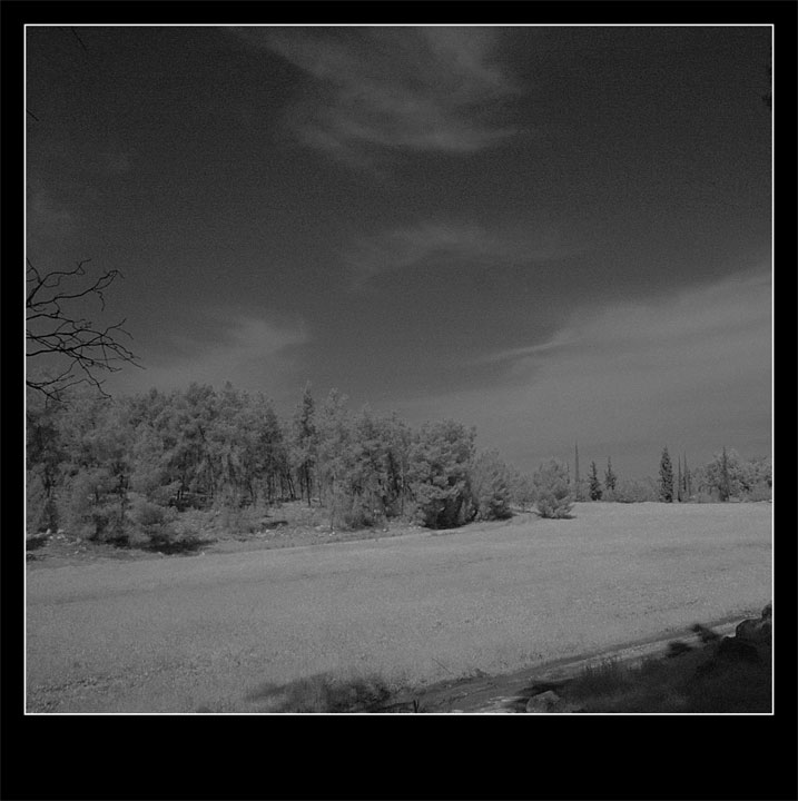  FIELD...