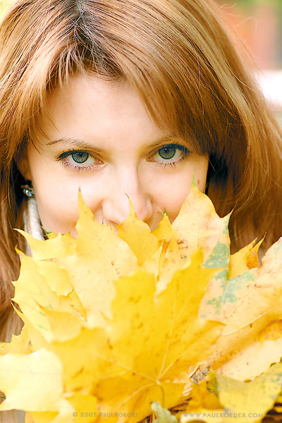   / Leaf fall