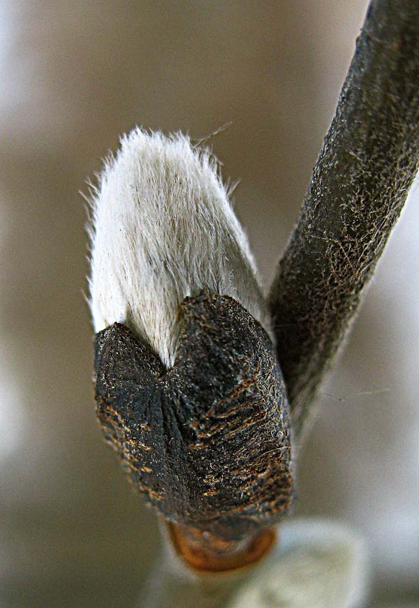  privet,ja 