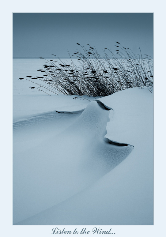  Listen to the Wind...
