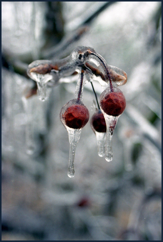  On ICE