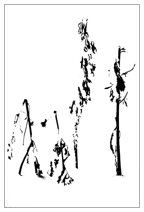  #21