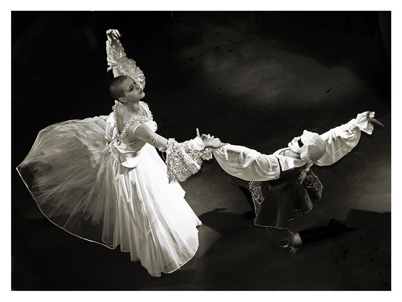  dance, dance, dance
