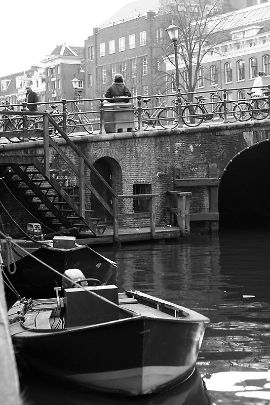  the bridge