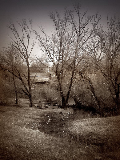  early spring