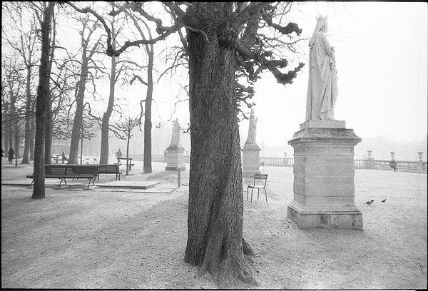  jardin du Luxembourg