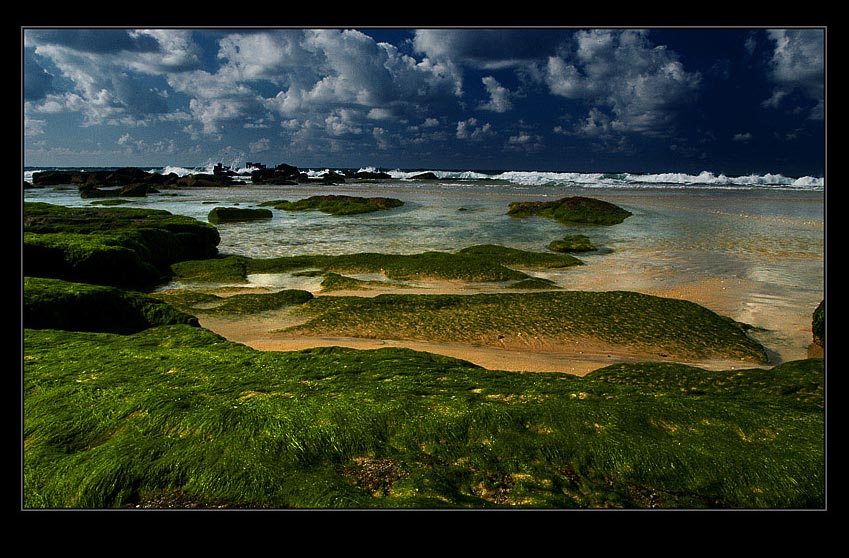  Mediterranean sea 