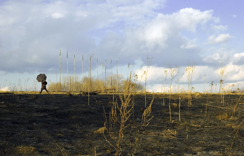  burned earth