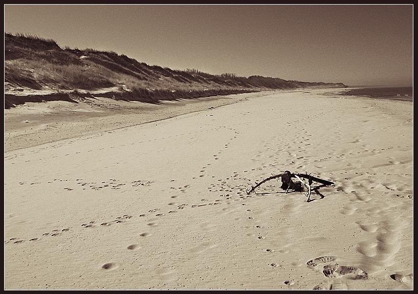  Solitude #1