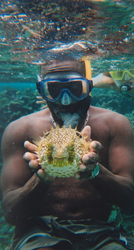 blowfish