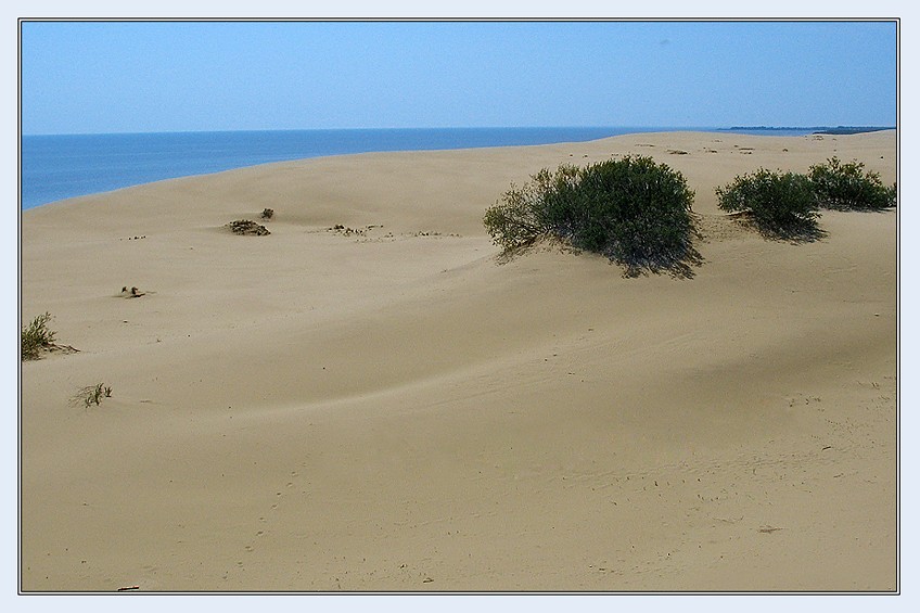  Desert